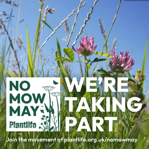 NO MOW MAY - ARE YOU READY? - FIND OUT MORE